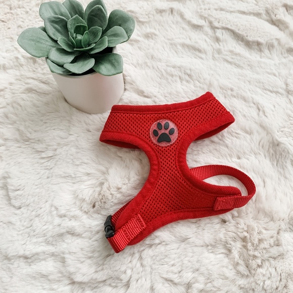 Red Dog Harness- Size XS - Picture 1 of 4